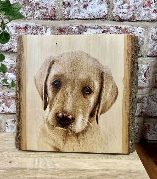 Pyrography Commission - Standard size portrait