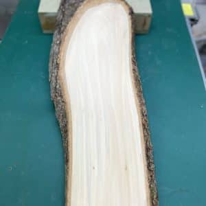 Random shaped Live Edge Lime Pyrography Blanks